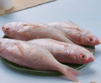 Sankara Fish